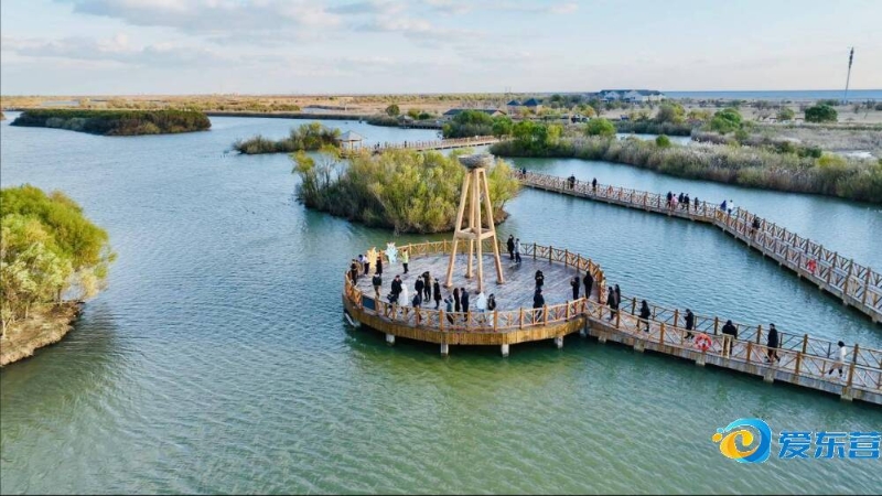 引发了外界 引发了外界